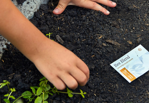 kid's hand planting seeds in the soil outside