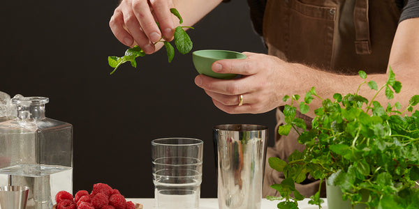 hands pulling fresh herbs for cocktail infusion