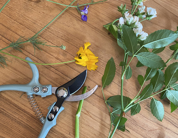 Modern Sprout Gardening Pruners on a wood table with cut flowers next to them