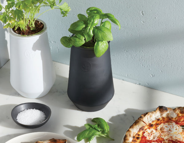 two basil tapered tumblers next to a pizza