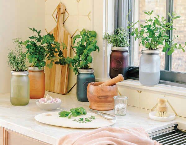 Garden Jar herb kits sitting on a kitchen counter by a sunny window