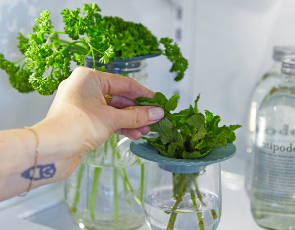 a woman's hand placing herbs into a vase set up with Modern Sprout's produce keeper