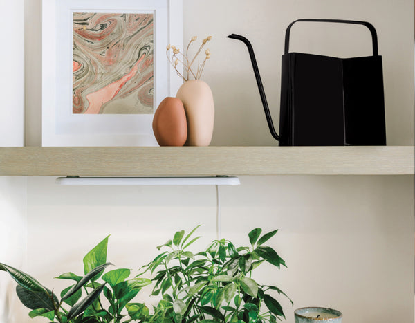 Modern Sprout Matte Black watering can set on a light wood shelf with green plants below