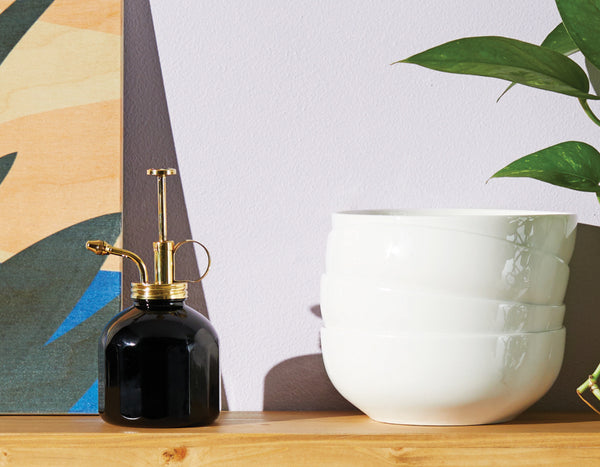 Modern Sprout black and brass plant mister sitting on a shelf next to a white bowl