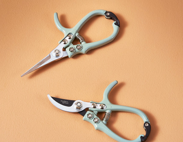 Modern Sprout gardening shears & pruners with a tangerine background