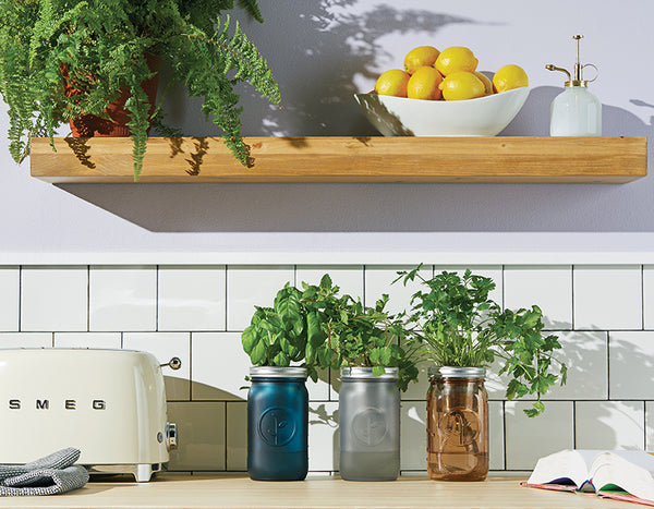 Garden jars with herbs sitting on a kitchen counter top