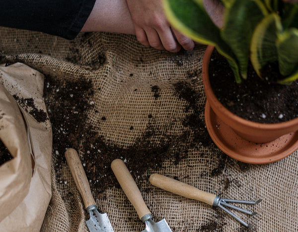 burlap with gardening tools and a terracotta potted plant