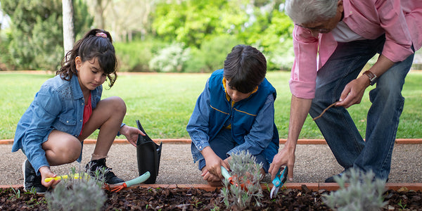 community garden tending