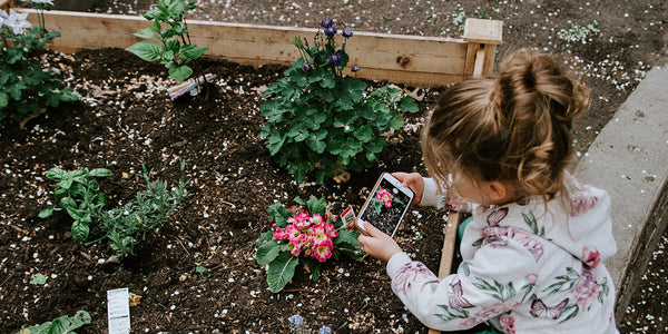 toddler girl with iPhone pointing at plants in backyard garden