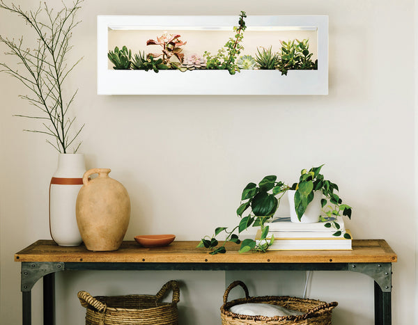 entryway console with Modern Sprout white smart landscape growframe mounted above vases and plants