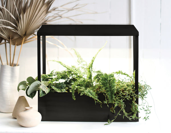 Modern Sprout Matte Black Smart Growhouse sitting on a white counter top