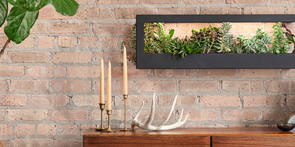 Modern Sprout Matte Black Smart Landscape Growframe mounted on a brick wall above a wood console table with candles