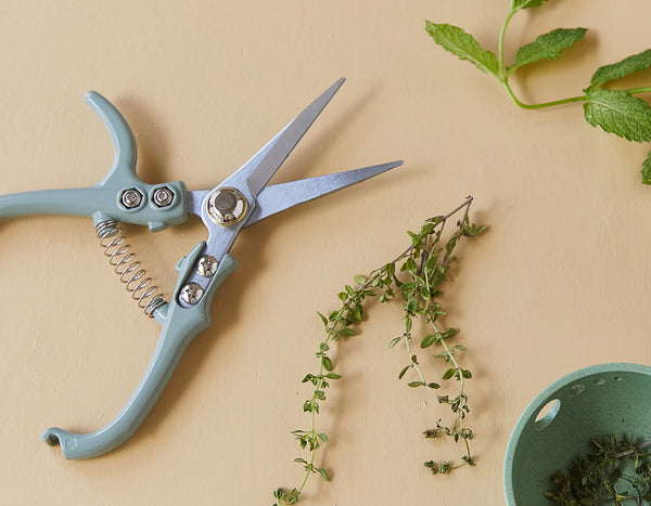 Modern Sprout Gardening Pruning Shears on a tan background with fresh thyme herbs nearby