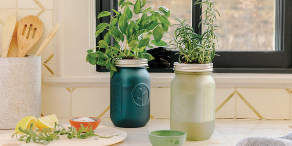 Garden jars with herbs by kitchen window