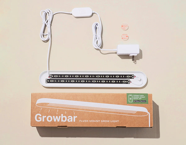 Modern Sprout Grow Bar box with components laid out