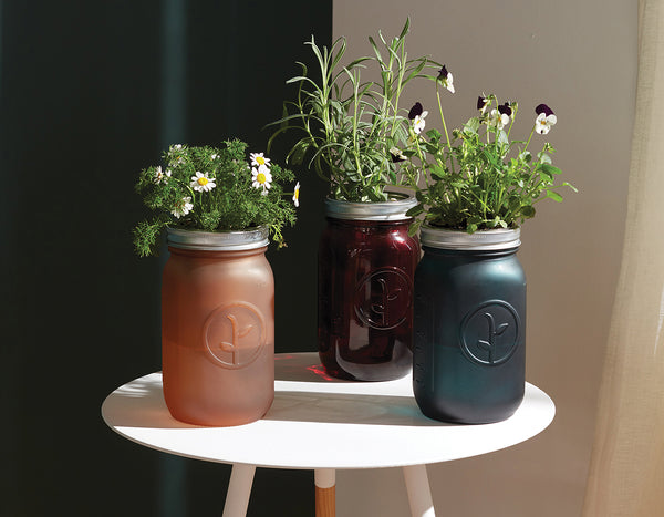 three modern sprout garden jar grow kits set on a white round end table next to a window