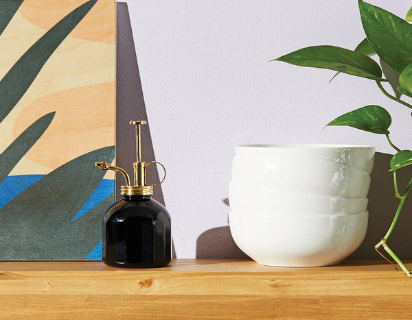 Modern Sprout Black and brass plant mister set next to a white plant pot on a shelf