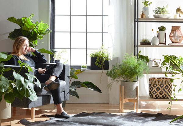 Woman reading on couch by a large window surrounded by plants