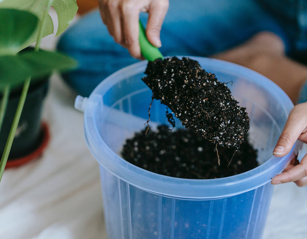 potting soil in a blue bucket with a hand scoop