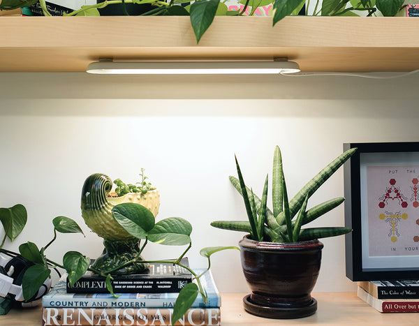 two plants on a book shelf below a growbar