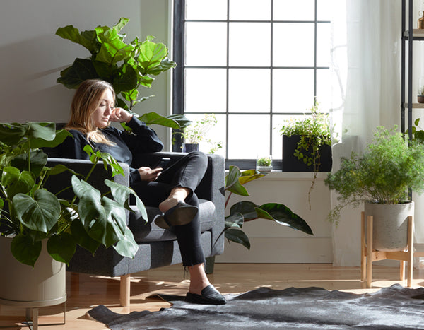 woman reading by large window surrounded by plants