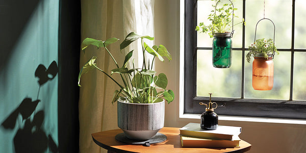 Modern Sprout hanging plant jars in window next to a coffee table with a potted plan