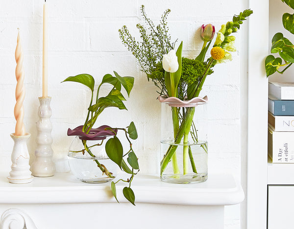 two glass vases with Modern Sprout Botanical Keepers on top of a white shelf