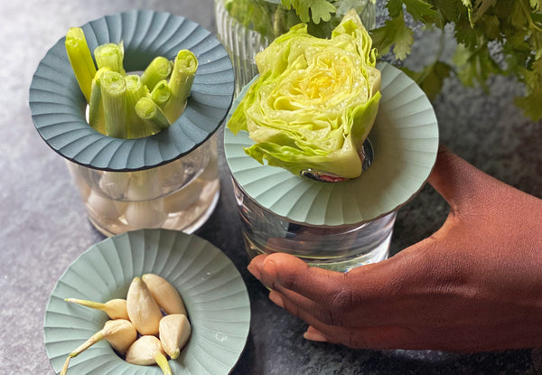 Modern Sprout produce keepers on a coffee table