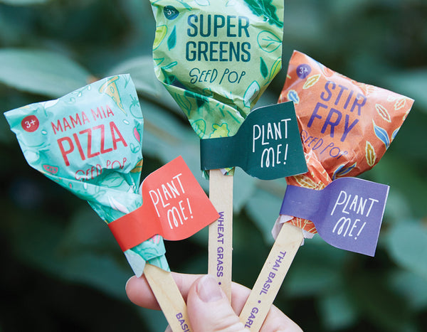 hand holding three Modern Sprout Seed Lollipops in front of greenery