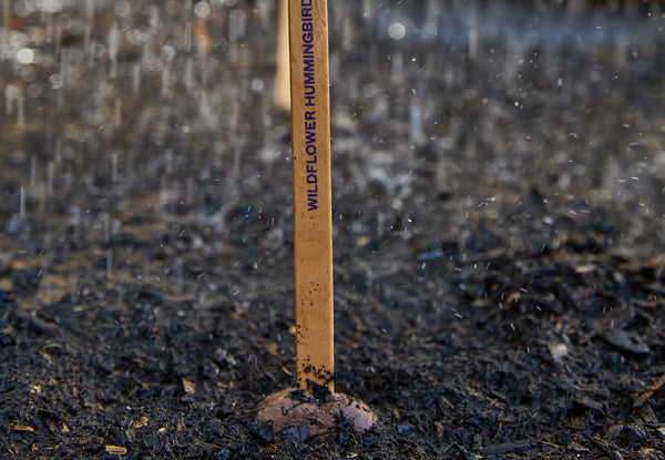 A wooden stick garden marker sticking out of the soil