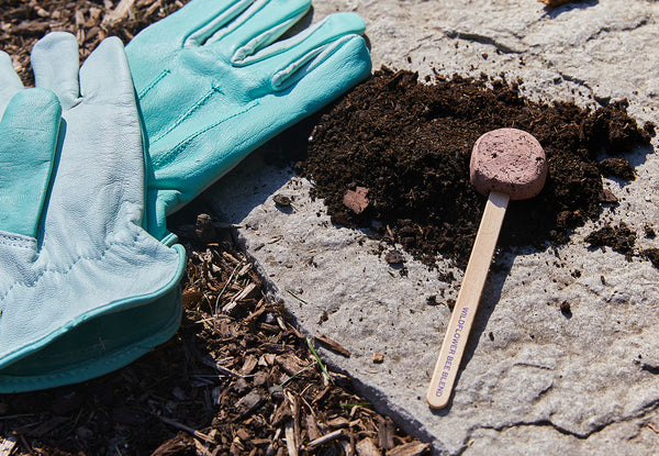 Teal garden gloves next to a modern sprout seed lollipop