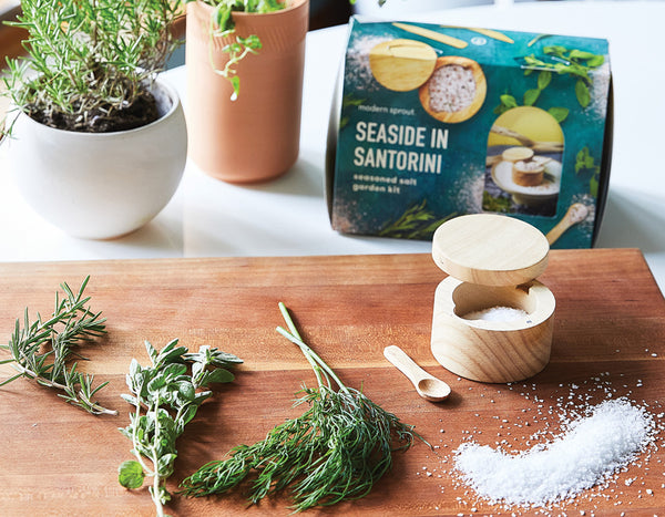 Seaside in Santorini Travel Trio Grow Kit next to butcher block with sea salt canister and fresh Mediterranean herbs