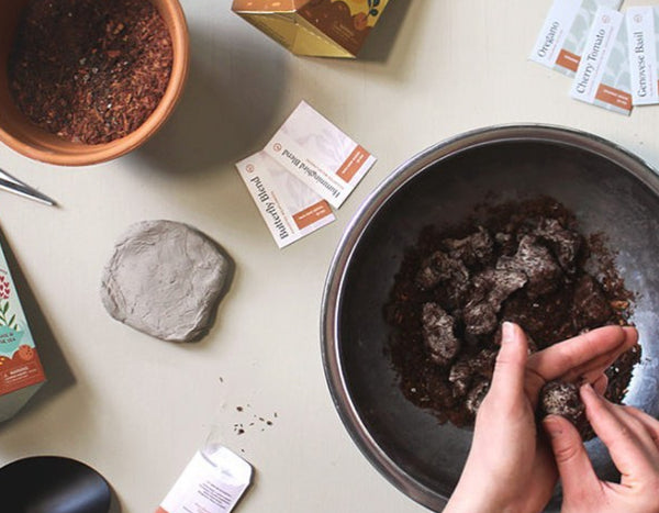 building seed balls with a Modern Sprout Seed Ball Kit