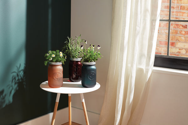 Garden Jars on a plant stand by a window