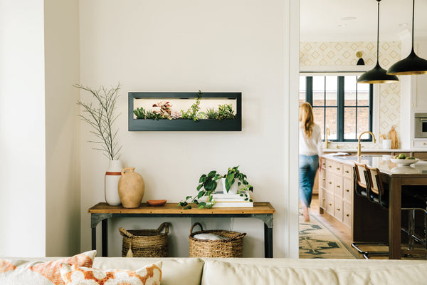 Smart Landscape Growframe on wall in living room