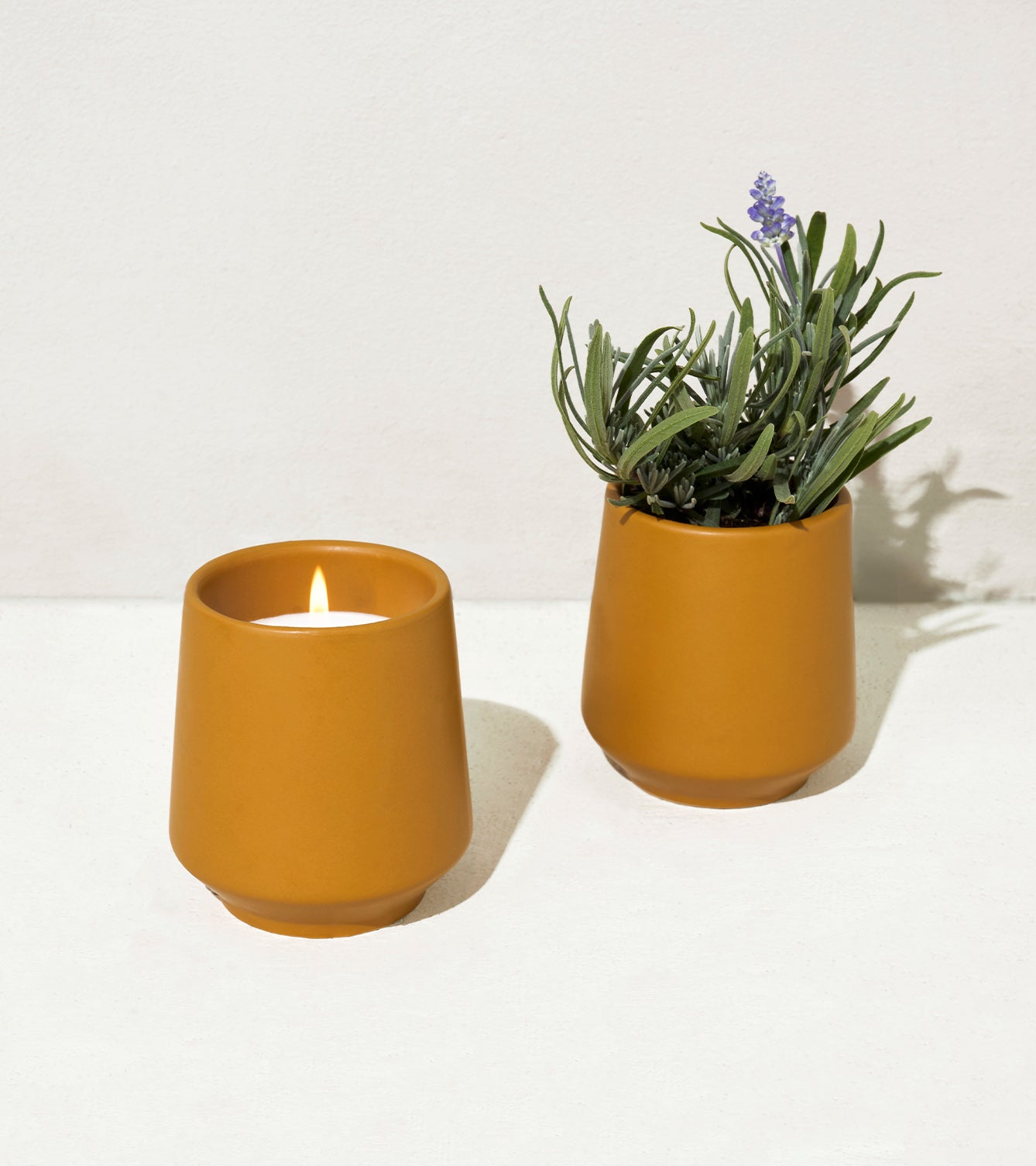 Rooted Candles-image-10