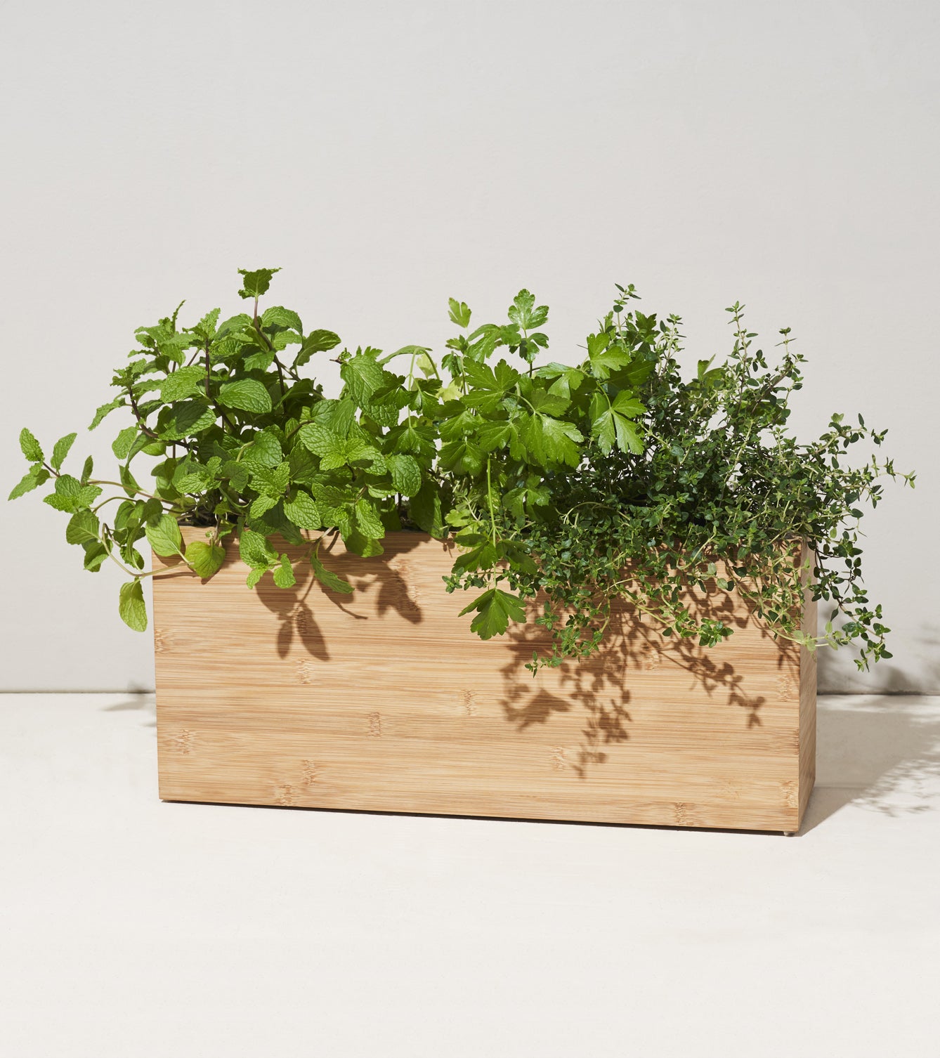 Smart Hydroplanter-image-1