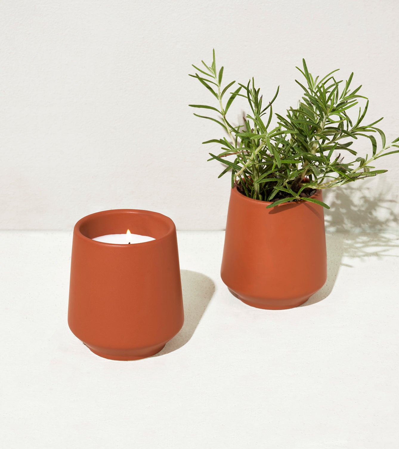 Rooted Candles-image-7