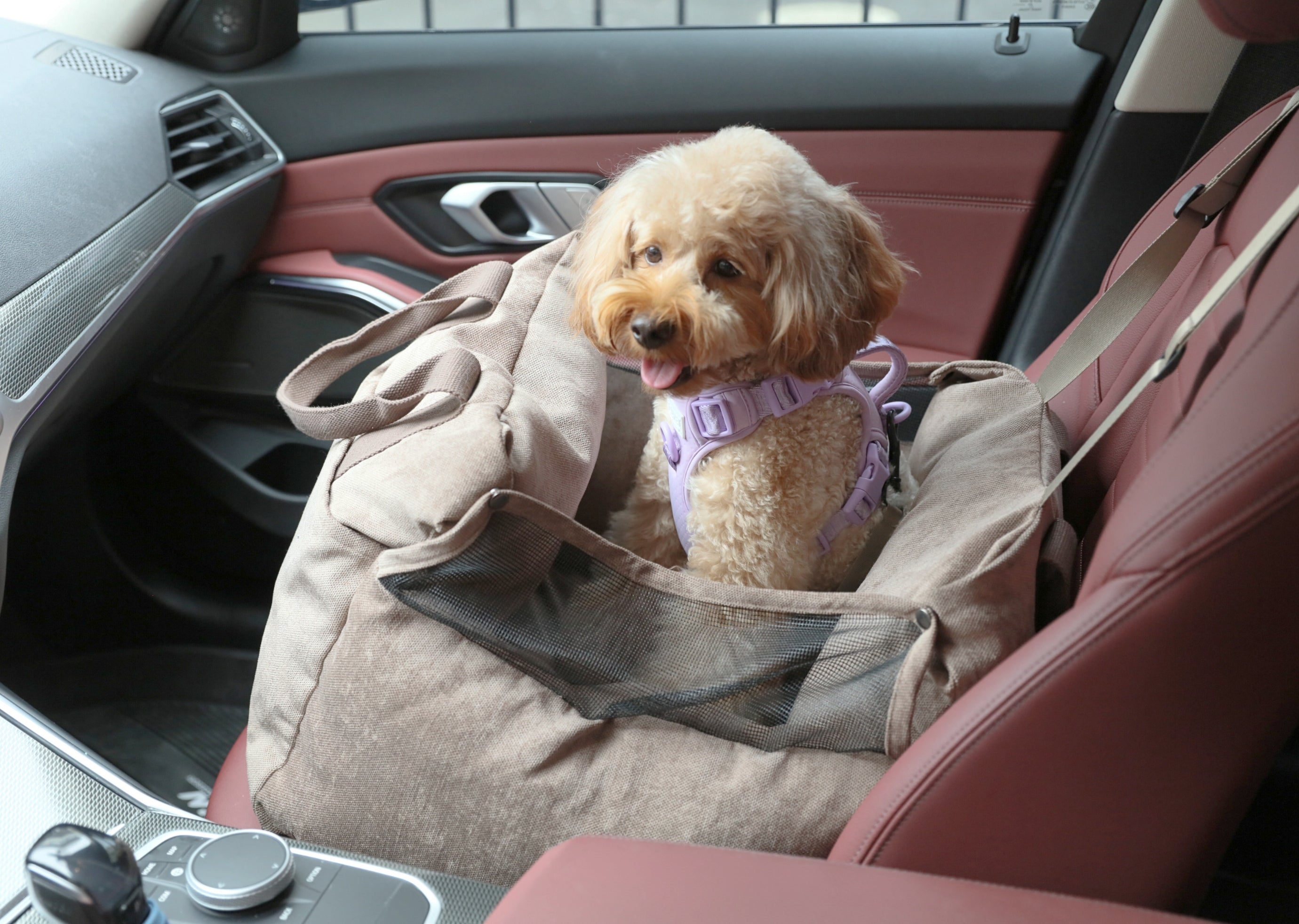 Puff Guard Dog Car Seat - Pink-image-3