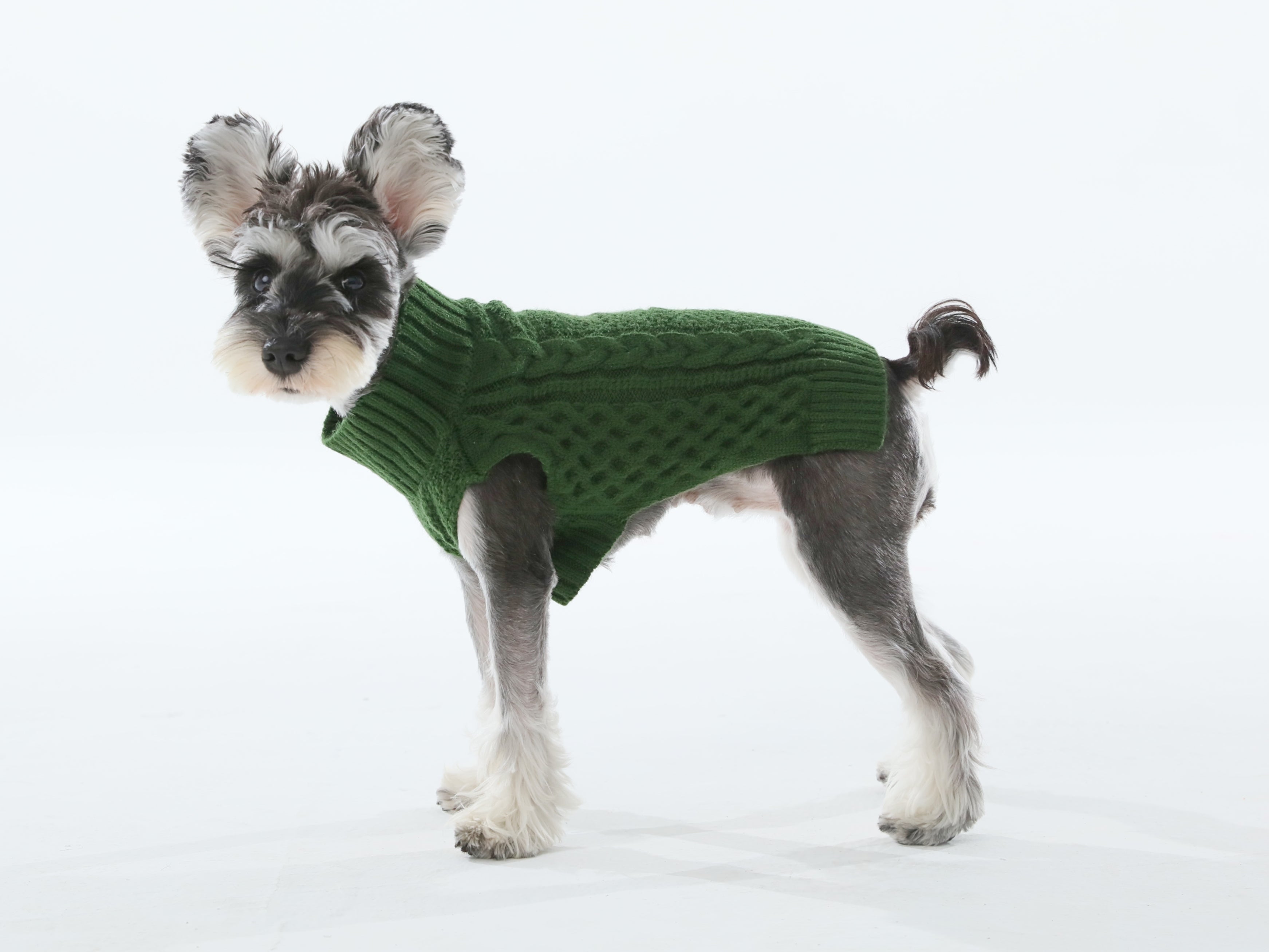 PEHOMNYC - Pet Sweater Vest - Green image 8