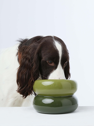 Soufflé Pet Bowl - Avocado Green-image-0