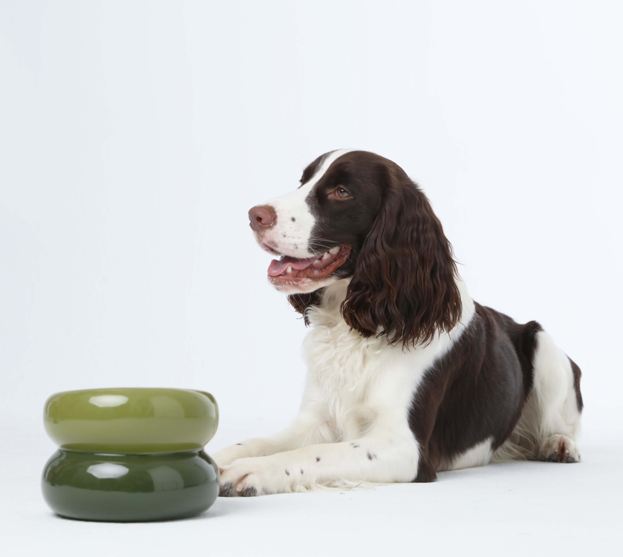 Soufflé Pet Bowl - Avocado Green-image-2