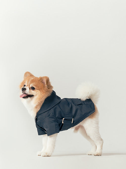 PEHOM｜Pet Raincoat - Blue – pehomnyc