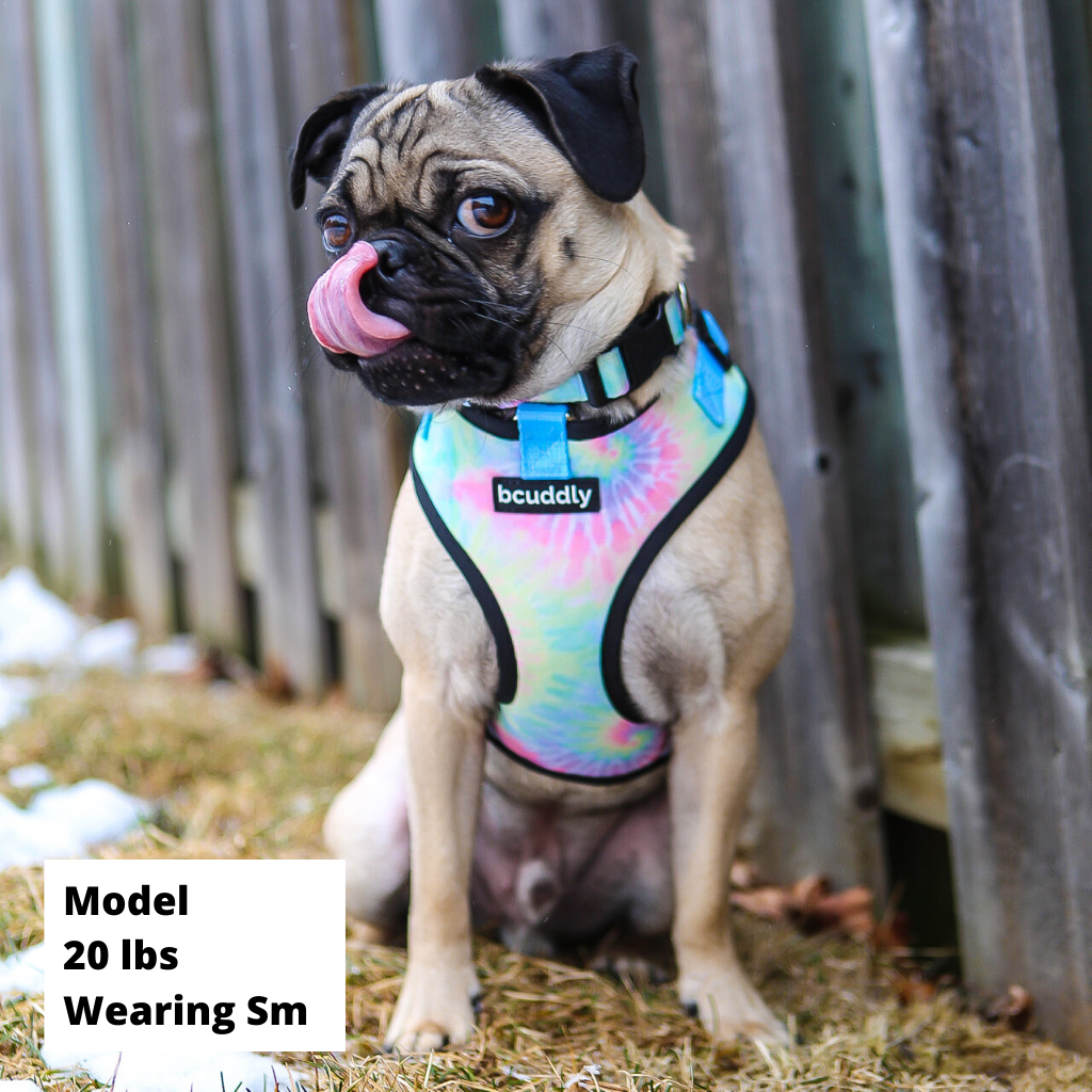 dog harness for tie out