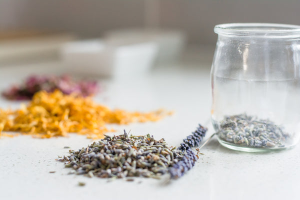 botanicals displayed on tabletop