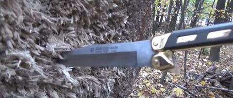 knife in tree