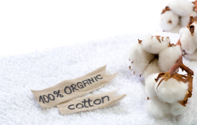 Le coton bio est le plus responsable !