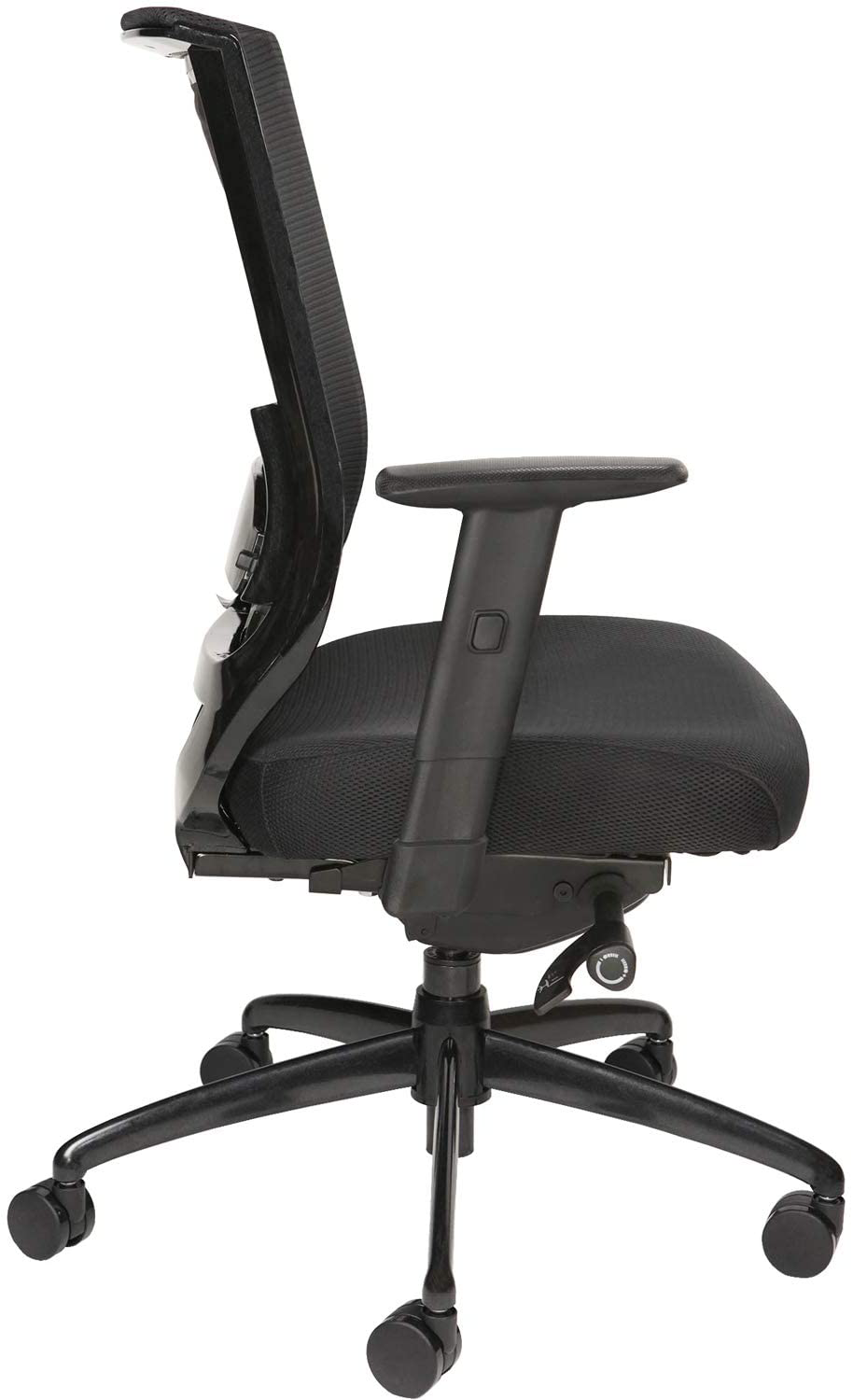 Oak Hollow Furniture Reina Series Office Chair Ergonomic Executive ...