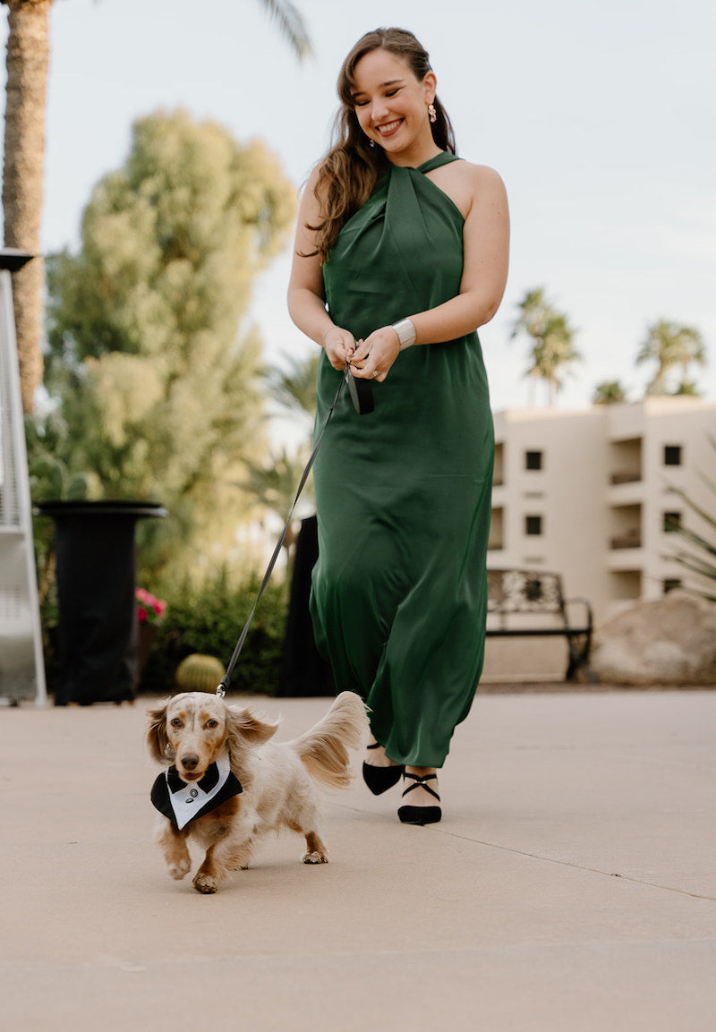 Bridesmaid Walking Down Aisle with Pet