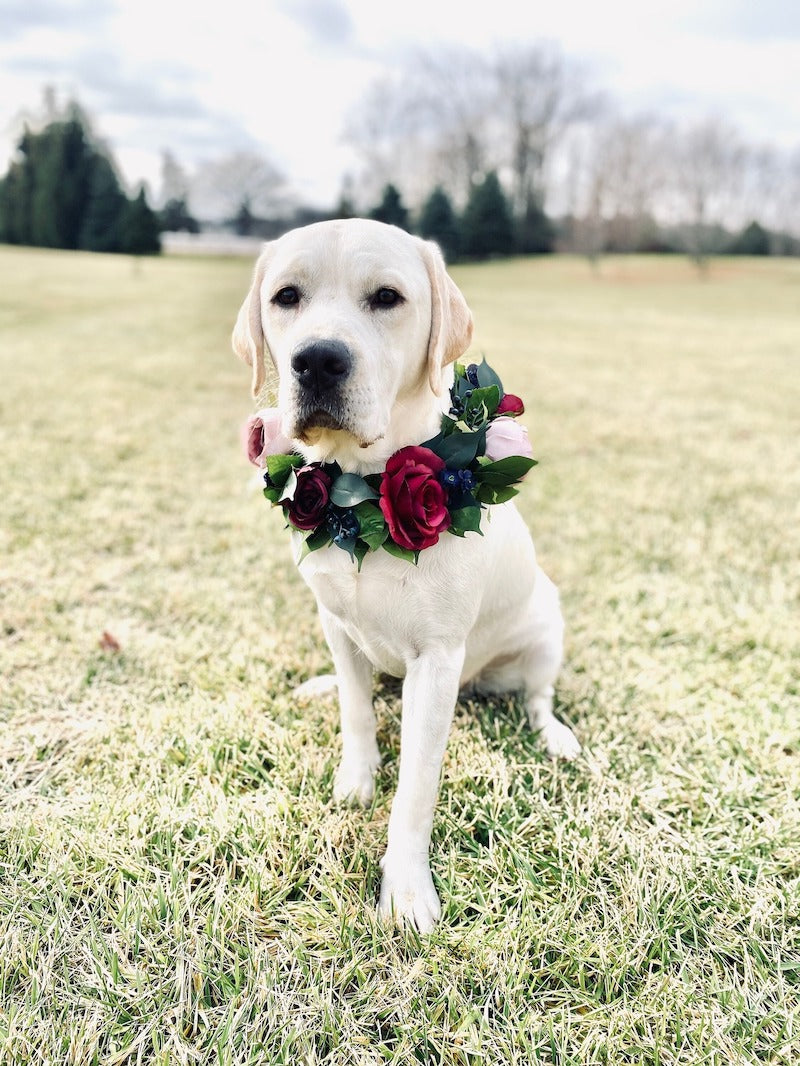 Floral Dog Collar for Wedding